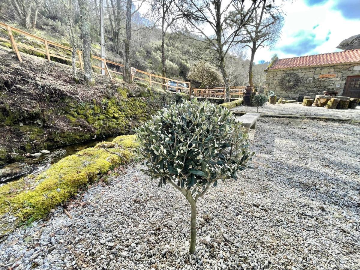 Moinho De Briao Villa Montalegre Luaran gambar